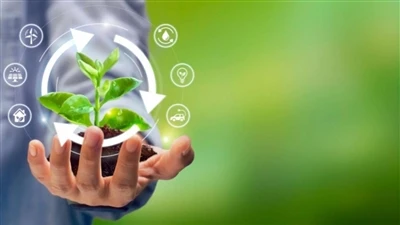 ملخص سنوي للتنمية-المنخفضة الكربون لصناعة الأسمدة في الصين في عام 2025